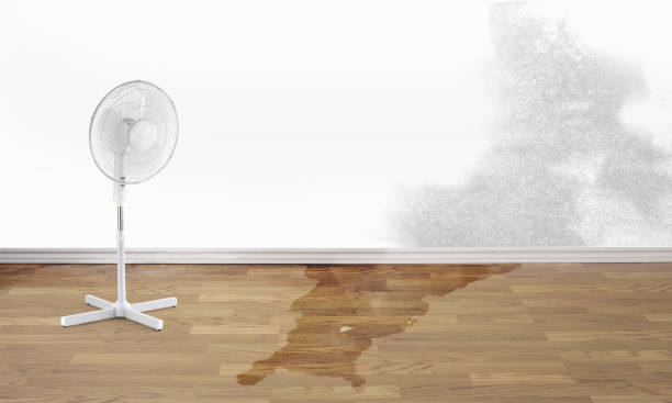 Best Flooded house restoration  in Bowie, TX